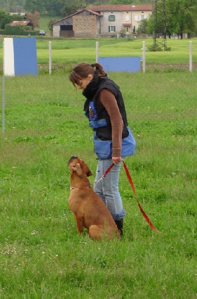 Enjy du Chêne Feuillu