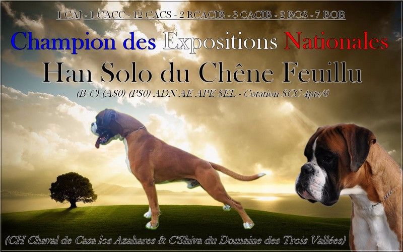 Titre de Champion des Expositions Nationales